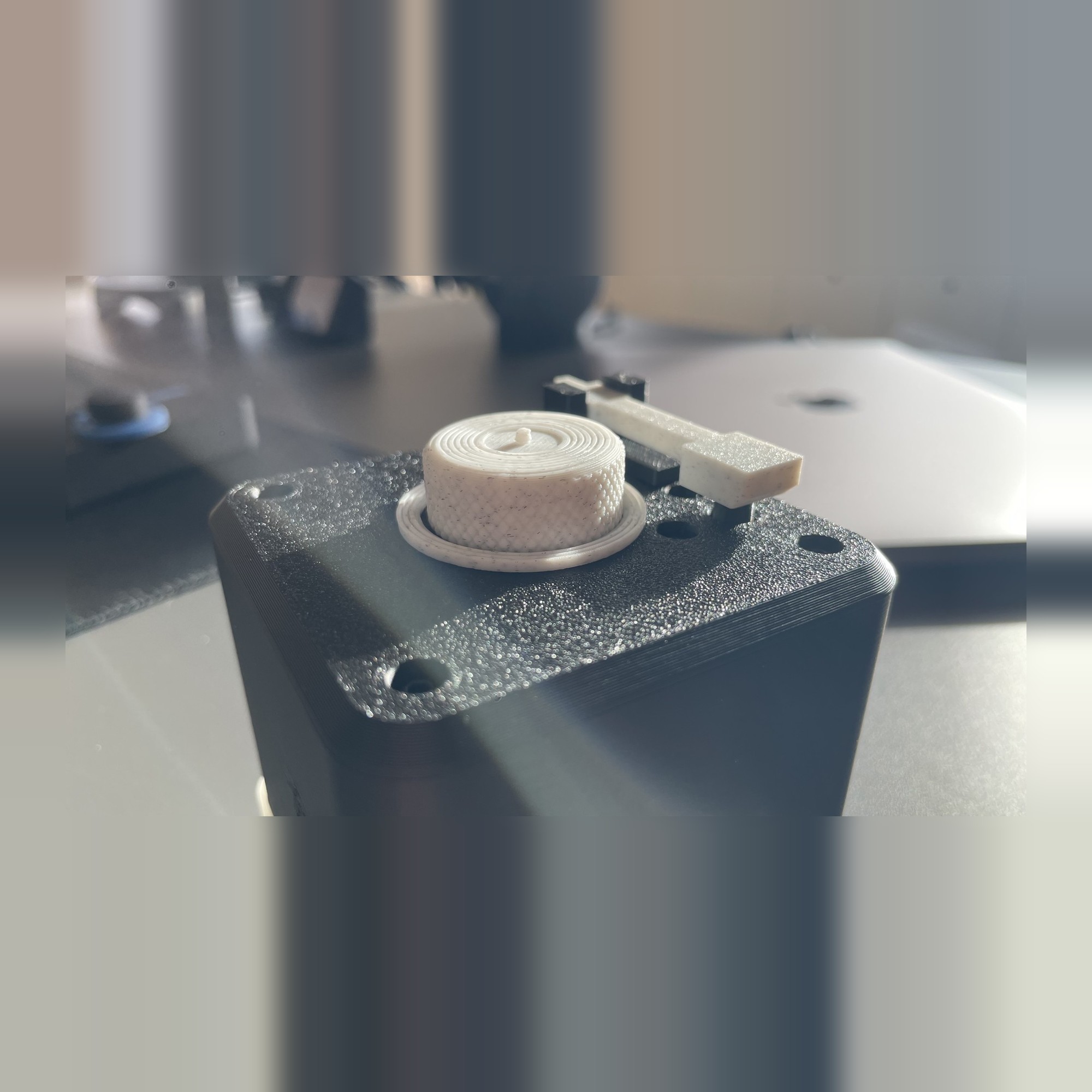 Photo of a printed Buddybox